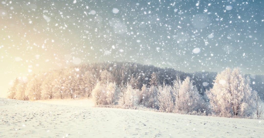 winter scene on mountainside with evergreen trees and lots of snow