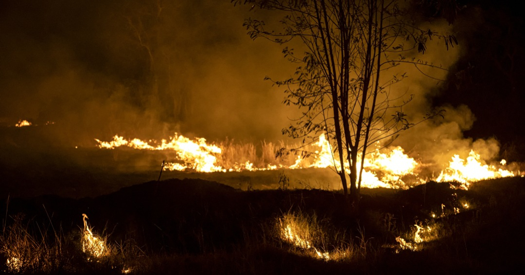 Get Ready - New Washington Heat & Wildfire Smoke Requirements Coming